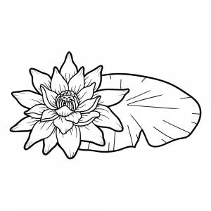 Раскраска Лотус