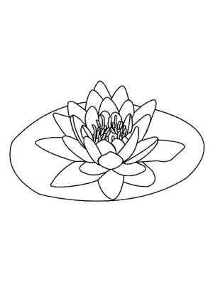 Раскраски Лотос