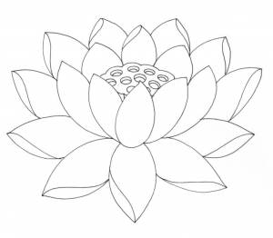 Раскраска лотос