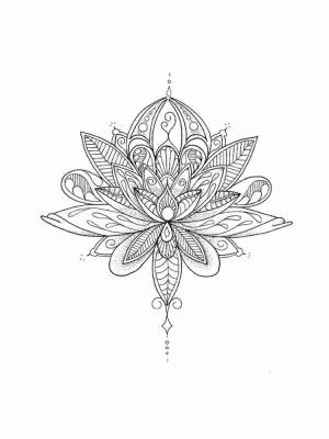 Раскраски Лотос Aнтистресс