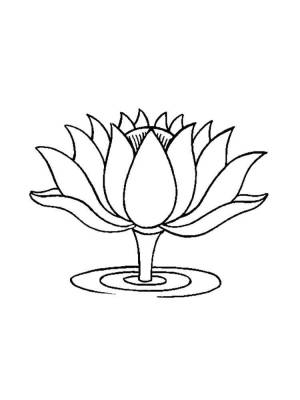 Раскраски Лотос