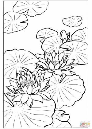 Раскраска Цветение лотосов художника Нишимуры Ходо