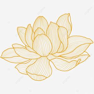 рука рисовать цветок лотоса вектор PNG , ничья рука, лотос, цветок PNG картинки и пнг рисунок для й загрузки