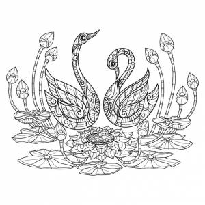 Лебедь и лотос рисованной для взрослых книжка-раскраска