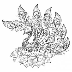 Павлин и лотос рисованной для взрослых книжка-раскраска