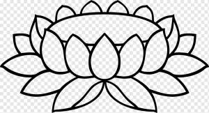 Книжка-раскраска Line art Nelumbo nucifera Рисунок, лотос, белый, лист, симметрия png