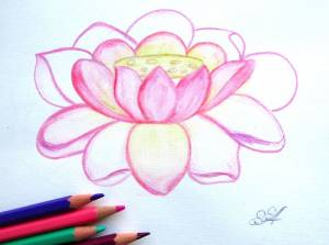 Нарисуйте лотос, символ духовного совершенства и обретите гармонию