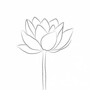 Цветок лотоса большой бутон, нарисованный линией изоляция открытой кувшинки рисунок лотоса каракули для пригласительных марок  канцелярских принадлежностей