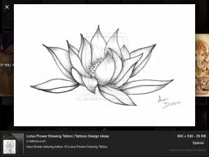 Лотос карандашом