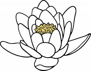 DataLife Engine > Версия для печати > Лотос раскраска