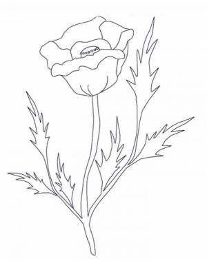 Раскраски Мак