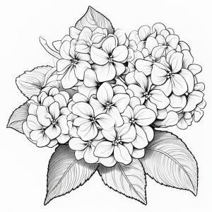 Раскраска «очаровательная цветущая гортензия» для детей с большими цветущими цветами на белой спине