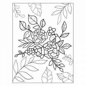 Раскраска Пион, орхидея, гортензия и цветы магнолии