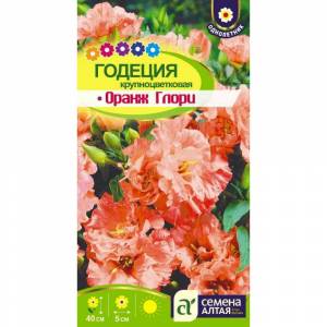 Раскраска Годеция