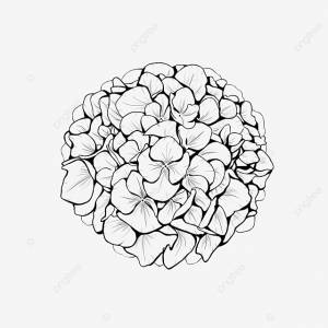 рисунок линии гортензии PNG , рисунок крыла, рисунок уха, рисование иконок PNG картинки и пнг PSD рисунок для й загрузки