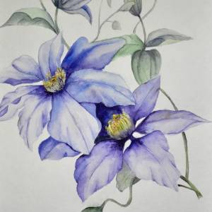 Картина «Клематис» Бумага, Акварель 2019 г