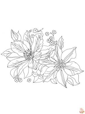 Красота клематисов с раскрасками для печати и бесплатными раскрасками