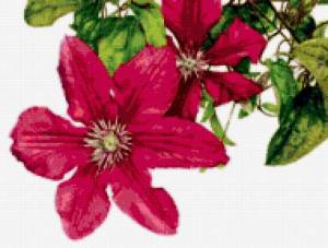 Предпросмотр