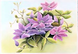 Клематисы в интернет-магазине Ярмарка Мастеров по цене 2750 ₽