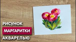 Как нарисовать маргаритки карандашом и акварелью начинающим
