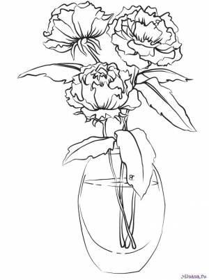 Раскраска Пионы