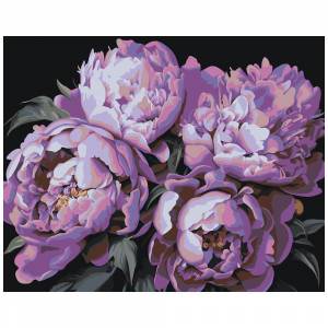 Картина по номерам ЖПН на холсте с подрамником Цветы