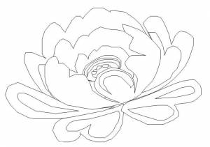 Раскраски Пион