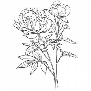 DataLife Engine > Версия для печати > Трафареты по номерам пионы в вазе