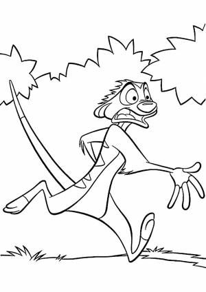 Раскраска Тимон в ужасе