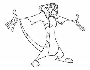 Раскраска Тимон И Пумба