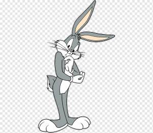 Bugs Bunny Daffy Duck Порки Свинья Элмер Фадд Луни Мелодии, Анимация, белый, млекопитающее, позвоночное png