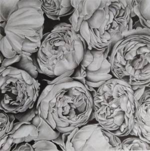 Пионы, Рисунок