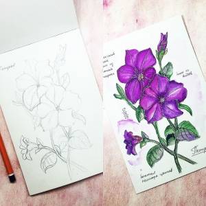 Петунья фиолетовая рисунок акварелью Petunia violet watercolor drawing