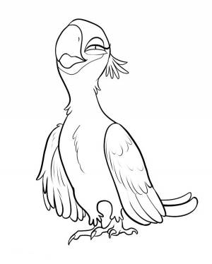 Раскраска Рио и Рио 2