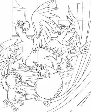 Раскраски рио, Раскраска Попугаи рио рио