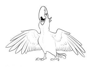 Раскраска Рио и Рио 2