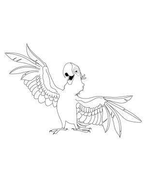 Раскраска Рио и Рио 2