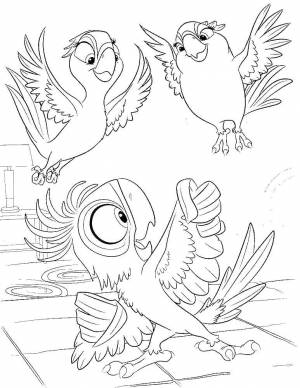 Раскраски Раскраска Попугай голубая ара рио рио