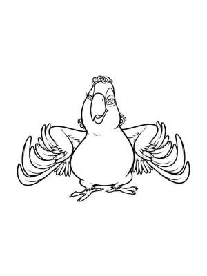 Раскраски Рио и Рио 2