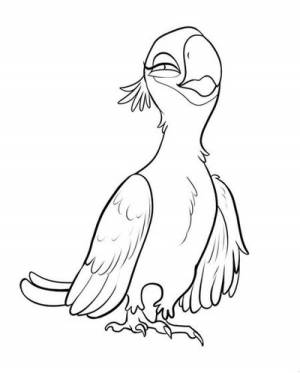 Раскраски Рио 2