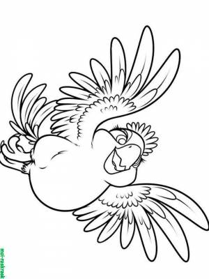 Картинка Рио и Рио 2