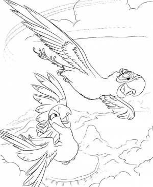 Раскраски Раскраска Голубчик и жемчужинка рио детские