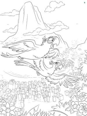 Раскраски рио, Раскраска Нигель рио