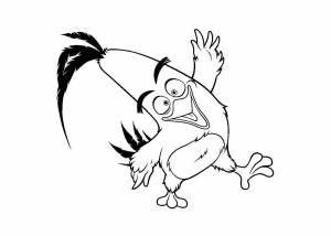 Раскраски рио