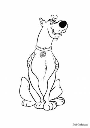 Раскраска Скуби-Ду