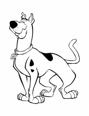 Раскраска Скуби Ду