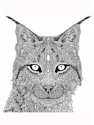 Раскраски Рысь Антистресс   в формате