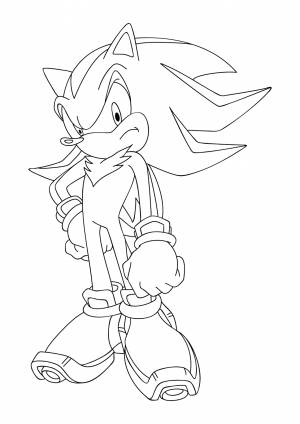 Шедоу раскраска