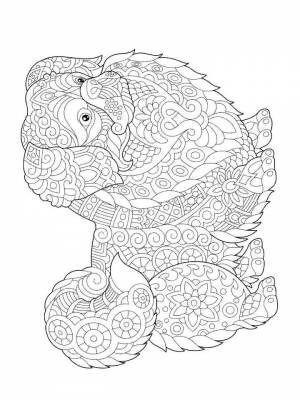 Раскраски Щенки Антистресс   в формате