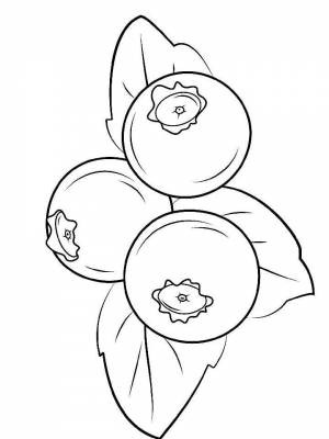 Раскраски Черника   в формате